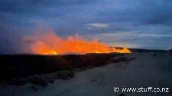 Public warned of camp fire danger following massive blaze at Auckland forest - Stuff.co.nz