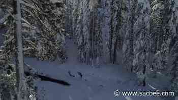 Take flight over a snow-covered Tahoe National Forest in this drone video - Sacramento Bee