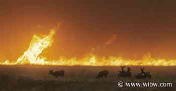 Kansas Forest Service revises acreage burned in wildfires - WIBW