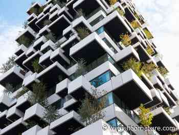 Stefano Boeri Architects designs Trudo Vertical Forest first Social Housing Vertical Forest in Eindhoven - Floornature.com