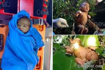 Newborn found in forest was covered in bruises and insect bites - New York Post