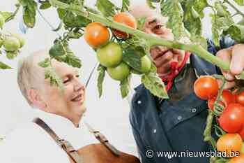 Smaakhoeve De Lochtenberg bundelt recepten van kok Gonda Meesters in kookboek