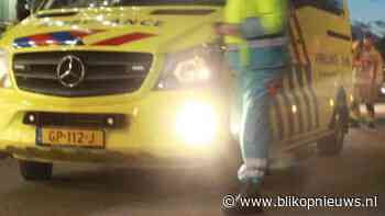 Voetganger die zijn hond van snelweg wilde halen aangereden en overleden - Blik op nieuws