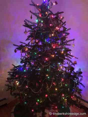 GARDENER'S CHECKLIST: Week of December 23, 2021 - theberkshireedge.com