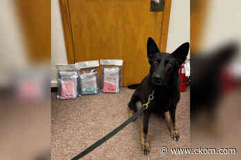 742 grams of fentanyl seized in Swift Current drug bust - CKOM News Talk Sports