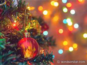 Guest column: Symbolic tradition of Christmas trees dates back several centuries