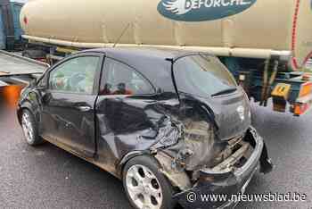 Botsing op E314 in Lummen: inzittenden en hondjes zijn ongedeerd