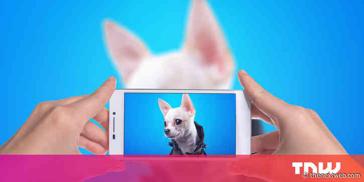 Love sharing videos of smol doggos and angy kittehs? You’re part of the ‘cute economy’