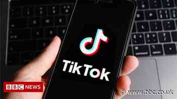TikTok ousts Google to become favourite online destination