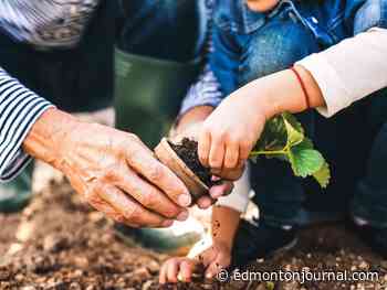 Year in Review: Gardening feeds more than our body