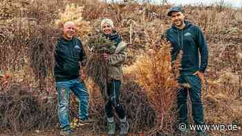 Siegen: Ein Baum für jede Flasche Siegberg-Gin gepflanzt - Westfalenpost
