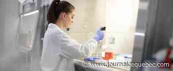 Omicron: perte d'efficacité des traitements par anticorps