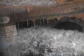 Water customers urged not to pour turkey fat down the sink - Ealing Times