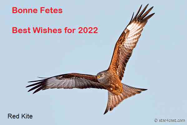 Peace, luck and stardust for 2022
