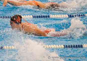 Upper St. Clair looking for total team effort to retain boys swimming title - Pittsburgh Post-Gazette
