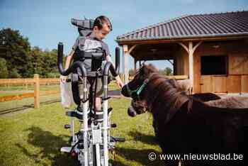 Kerstwandeling in en rond de revalidatieweide (Wuustwezel) - Het Nieuwsblad