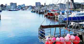 Fishermen asked to support Sutton Harbour fish quay redevelopment plans - Plymouth Live
