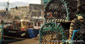 Concerns raised over 'shocking' charges for fishermen at Sutton Harbour - Cornwall Live