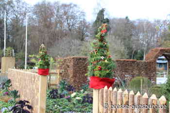 Krippe, Marterlweg und Weihnachtsstationen laden in den Botanischen Garten Augsburg ein | Presse Augsburg - Presse Augsburg