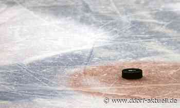 Keine Chance für Düsseldorf: Adler Mannheim schlagen die DEG mit 4:1 (1:0, 1:0, 2:1) - Ddorf-Aktuell - Internetzeitung Düsseldorf