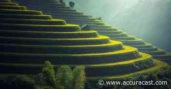 Travel SEO Agency - AccuraCast