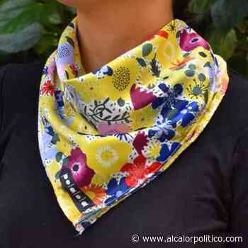 Casa de Cultura de Coatepec promoverá trabajos de artistas de la región - alcalorpolitico