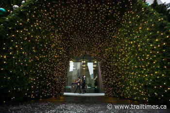 Merry Christmas or Happy Holidays? What about eggnog – yay or nay? - Trail Times