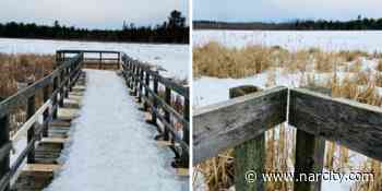 This Easy Ottawa Trail Goes Over The Water & Is Perfect For Your Friends Who Hate Hiking - Narcity Canada