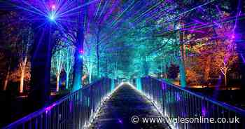 Christmas at Bute Park light trail cancelled due to covid restrictions - Wales Online