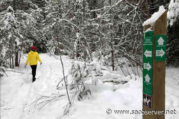 Auction items wanted in support of Shuswap trail initiatives – Salmon Arm Observer - Salmon Arm Observer