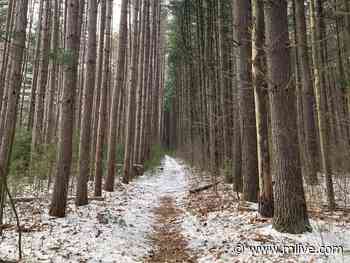 Looking for a winter trail? This interactive map shows where to snowshoe, ski in Michigan - MLive.com