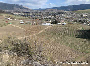 Land deal adds several acres to Vernon's popular Grey Canal hiking trail - Vernon News - Castanet.net