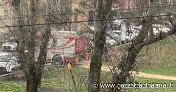 I vandali danno fuoco al modulo Eco - Video - Gazzetta di Parma