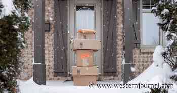 Video: Police Successfully Deploy High-Tech Device to Catch Package Thief
