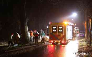 Auto ramt boom in Wedderveer. Brandweer bevrijdt beknelde bestuurder - Dagblad van het Noorden