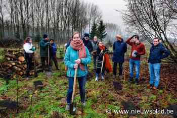 Bijna 3.000 Vlamingen leggen boom onder de kerstboom: een mooi gebaar, met één groot probleem - Het Nieuwsblad