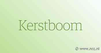 Boom vol ballen en verhalen - NRC