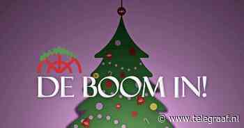 'De boom in!' met De Kleine Komedie | Cultuur | Telegraaf.nl - Telegraaf.nl