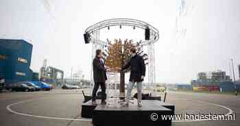 Bergse kunstenaar maakt stalen boom voor jubilerende plasticgigant Sabic - BN DeStem