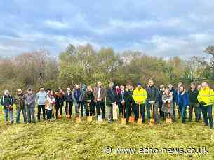 Covid-19: Basildon tree planting project suspended | Echo - Echo