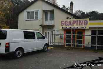 2.500 cannabisplanten aangetroffen in vroegere Scapinowinkel: 4 jaar gevorderd (Lommel) | Het Belang van Limburg Mobile - Het Belang van Limburg