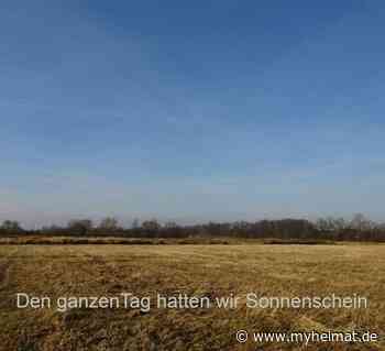 Der blaue Tag - Lutherstadt Wittenberg - myheimat.de