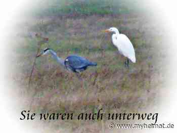 Auch sie waren unterwegs am Elberadweg - Lutherstadt Wittenberg - myheimat.de
