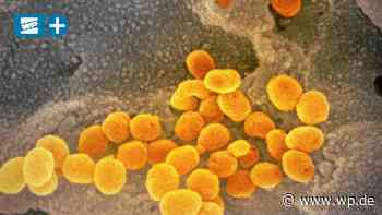 Corona: Omikron-Mutation in Meschede: Was bisher bekannt ist - WP News