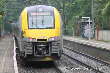 Treinbestuurder ontdekt levenloos lichaam naast sporen: vermoedelijk zelfdoding