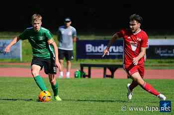 Deggendorf holt Niedermayer zurück - Unholzer kommt aus Plattling - FuPa - das Fußballportal