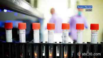 Omicron blamed for up to 70% of new cases in parts of California