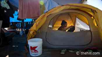 How work requirements unraveled the threads of our social safety net | TheHill - The Hill