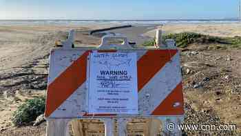 Surfer killed in shark attack at California beach, officials say