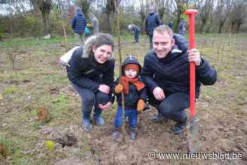 37 Affligemse kinderen krijgen geboorteboom - Het Nieuwsblad
